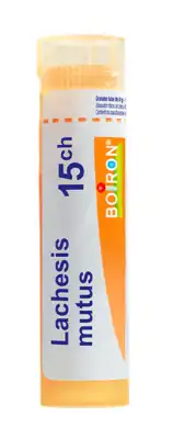 Boiron Lachesis Mutus 15ch Granules Tube De 4g à SAINT-MEDARD-EN-JALLES