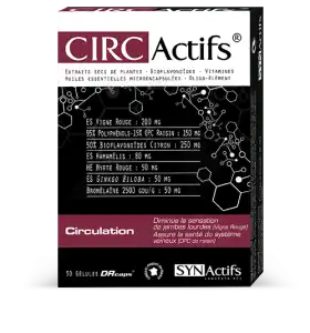 Acheter Synactifs Circatifs Gélules B/30 à CHÂLONS-EN-CHAMPAGNE