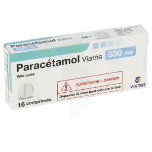 Paracetamol Viatris 500 Mg, Comprimé à CAYENNE