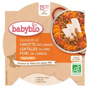 Babybio Assiette Carotte Porc Lentilles à AUDENGE