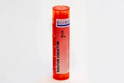 Boiron Sulfur Iodatum 7ch Granules Tube De 4g à Paris