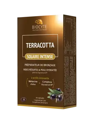 Biocyte Terracotta Solaire Intense Comprimés B/30 à SEYNOD