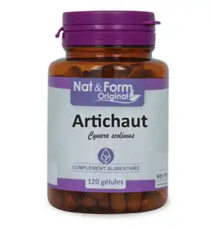 Nat&form Bio Artichaut Gélules B/80
