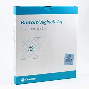 Biatain Alginate Ag, 15 Cm X 15 Cm , Bt 10 à Saint-Mandrier-sur-Mer
