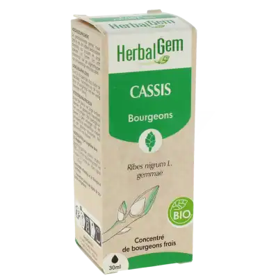 Herbalgem Cassis Macérat Bio Fl Cpte-gttes/30ml à VANS (LES)
