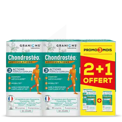 Chondrosteo+ Comprimés 3b/90 à St Médard En Jalles