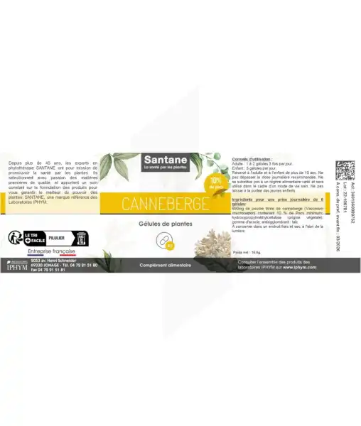 Santane Canneberge (> 10% De Pacs) Gélules De Poudre De Plantes 250mg B/60