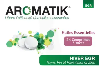 Aromatik Hiver Egr à Concarneau