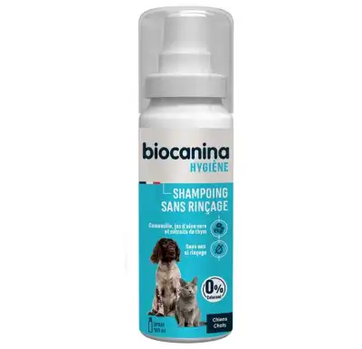 Biocanina Shampooing Hygiène Sans Rinçage Spray Fl/100ml à Balaruc-les-Bains
