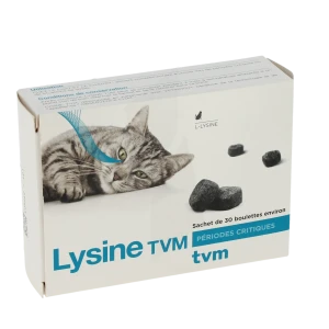 Lysine Tvm Boulette B/30