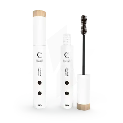 Couleur Caramel Mascara Perfect N°42 Brun Velours Fl/6ml à VALENCE