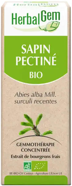 Herbalgem Sapin Pectine Macerat Mere Concentre Bio 30 Ml