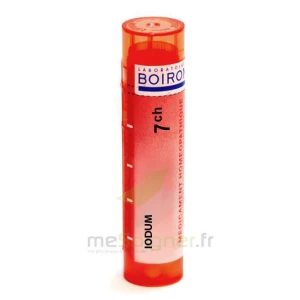 Boiron Iodum 7ch Granules Tube De 4g