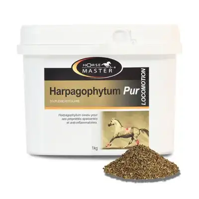 Horse Master Harpagophytum Pur 1kg à Bouc-Bel-Air