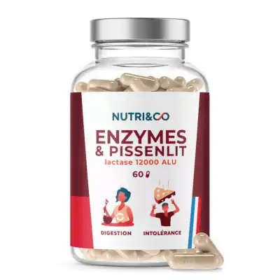 Nutri&co Enzymes & Pissenlit Gélules B/60 à SAINT-PRYVÉ-SAINT-MESMIN