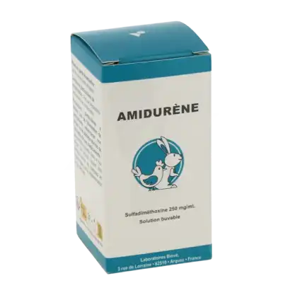 AMIDURENE, Solution buvable