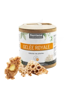 Santane Gelée Royale Gélules De Poudre De Plantes 530mg B/60