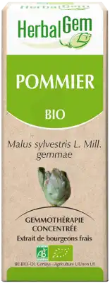 Herbalgem Pommier Macerat Mere Concentre Bio 30 Ml à ANDERNOS-LES-BAINS