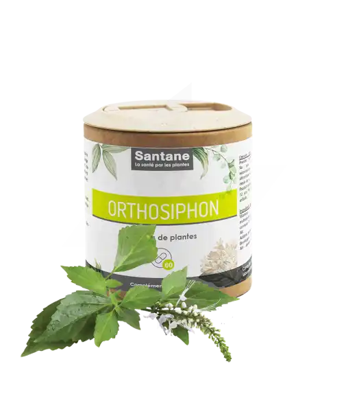 Santane Orthosiphon Gélules De Poudre De Plantes 270mg B/60