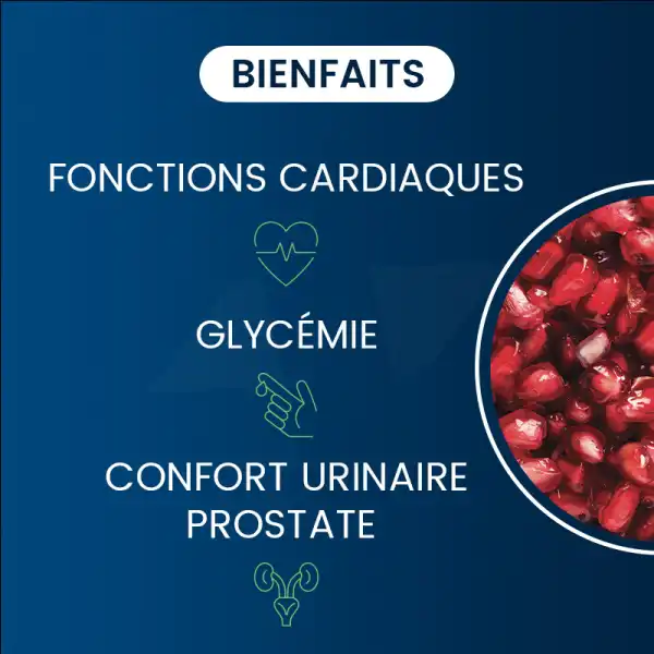 Dynveo Grenade Bio Concentrée 50% Polyphénols 30% Punicalagine 375mg 60 Gélules