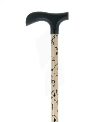 Fayet Ref2329 Canne Régl Alu/bois Mus Noir à LA COTE-SAINT-ANDRÉ