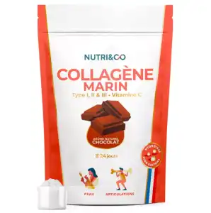 Nutri&co Collagène Marin Cacao Poudre Sachet/240g à Annemasse