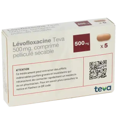 Levofloxacine Teva 500 Mg, Comprimé Pelliculé Sécable à Hagetmau