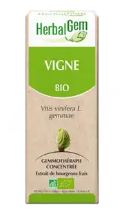 Herbalgem Vigne Macérat Bio 30ml à Toulon