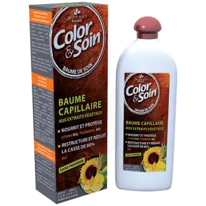 Acheter COLOR&SOIN Baume de soin capillaire Fl/250ml à Bordeaux