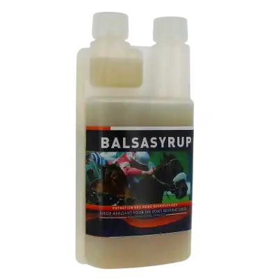 BALSASYRUP Sirop Bidon/500ml