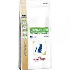 Royal Canin Chat Urinary S/o 1.5kg à Bordeaux