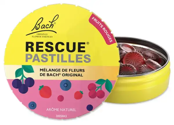 Rescue Past Fruits Des Bois B/50g