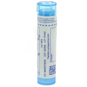 Boiron Theridion Currassavicum 9ch Granules Tube De 4g
