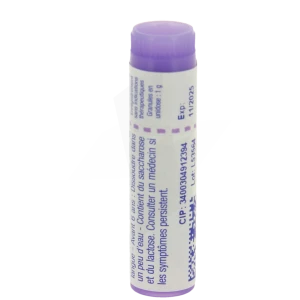Boiron Monilia Albicans 30ch Globules Dose De 1g