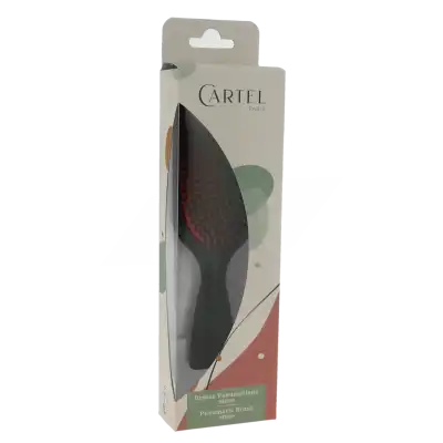 Cartel Brosse Cheveux Pneumatique Sanglier Picot Nylon Médium à Angers