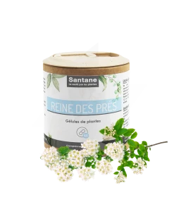Santane Reine Des Prés Gélules De Poudre De Plantes 250mg B/60