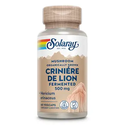 Solaray Crinière De Lion Fermenté 500mg Capsules Végétales B/60 à MARSEILLE
