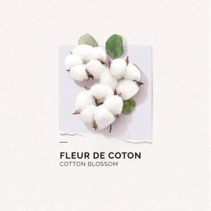Solinotes Fleur De Coton Eau De Parfum 15ml