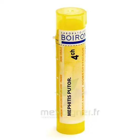 Boiron Mephitis Putorius 4ch Granules Tube De 4g