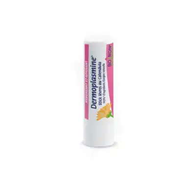 Boiron Dermoplasmine Stick Lèvres Au Calendula Stick/4g à SAINT-MARCEL
