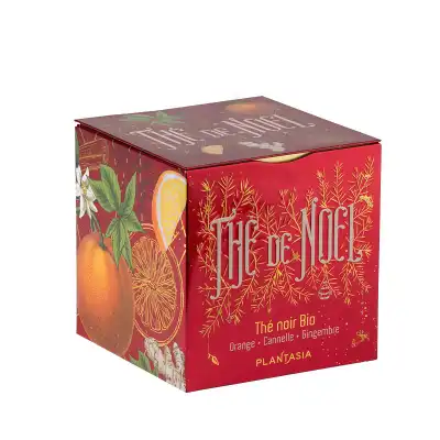 Thé De Noël Noir Orange, Cannelle & Gingembre Bio 24 Sachets à Pau