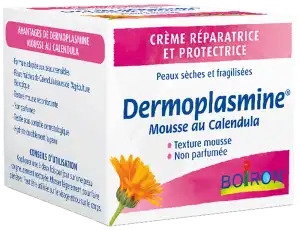 Boiron Dermoplasmine Mousse Au Calendula Pot/20g à Castelsarrasin