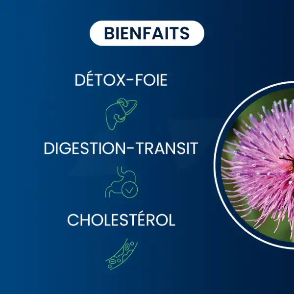 Dynveo Chardon Marie Bio 80% Silymarine 30% Silybine 200mg 60 Gélules