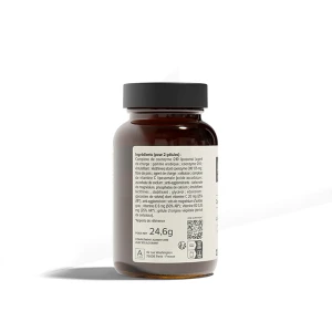 A-lab Coenzyme Q10 Liposomal Gélules B/60