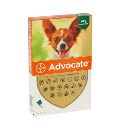 Advocate 40 Mg + 10 Mg Solution Pour Spot-on Pour Petits Chiens, Solution Pour Spot-on à BRUGES