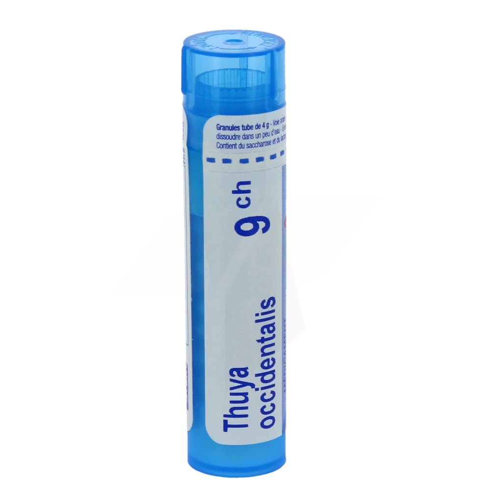 Boiron Thuya Occidentalis 9ch Granules Tube De 4g
