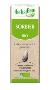 Herbalgem Sorbier Macérat Bio 30ml
