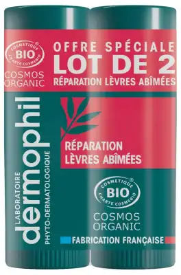 Dermophil Bio Stick Levres Abimees 4gx2 à Mérignac