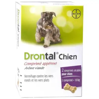Drontal P Bone Cpr Arôme Boeuf Chien B/2 à Osny