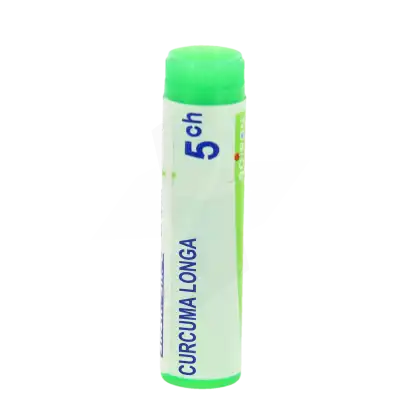 Boiron Curcuma Longa 5ch Globules Dose De 1g à QUINCAMPOIX